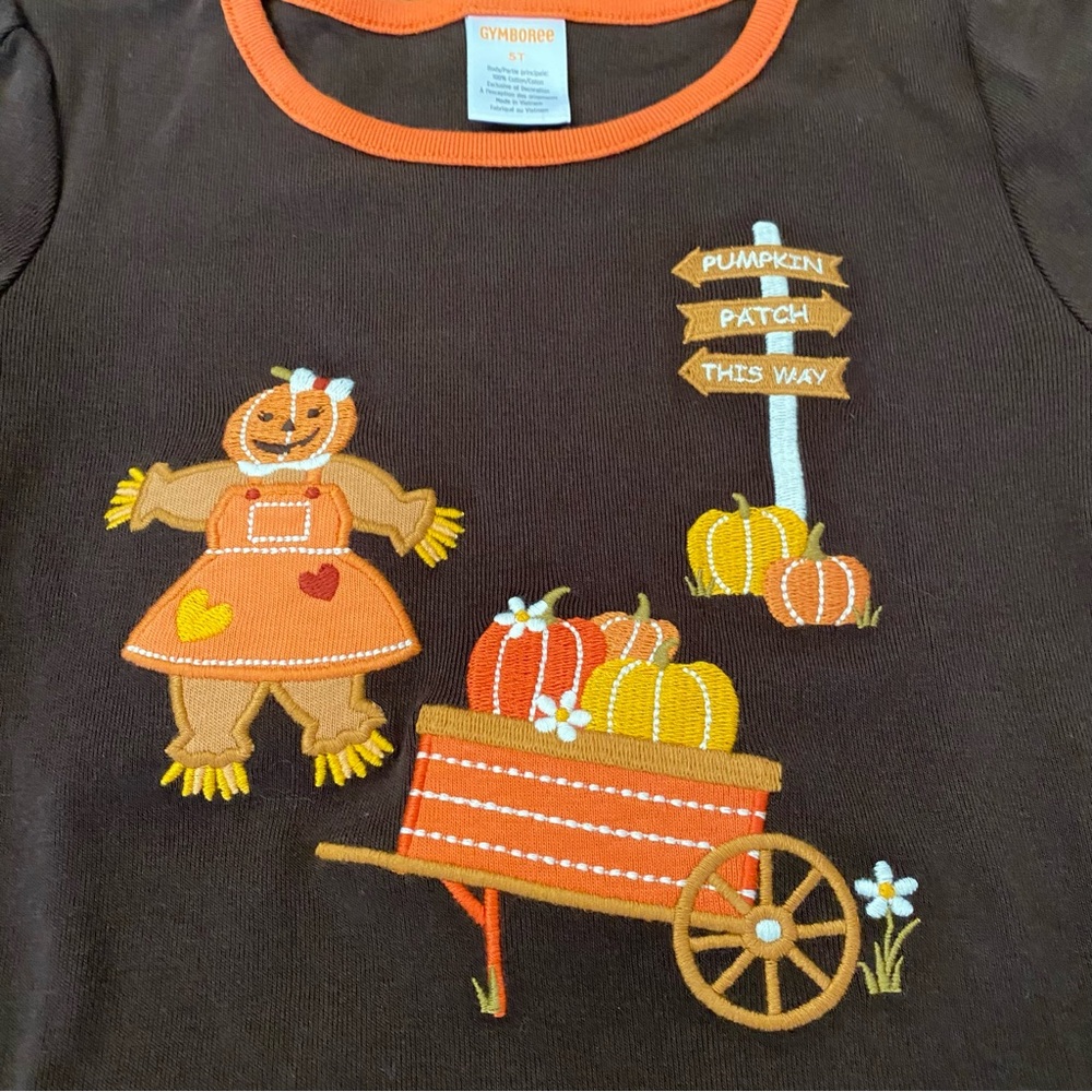 Gymboree Pumpkin Patch Girls Set - Picture 3 of 10